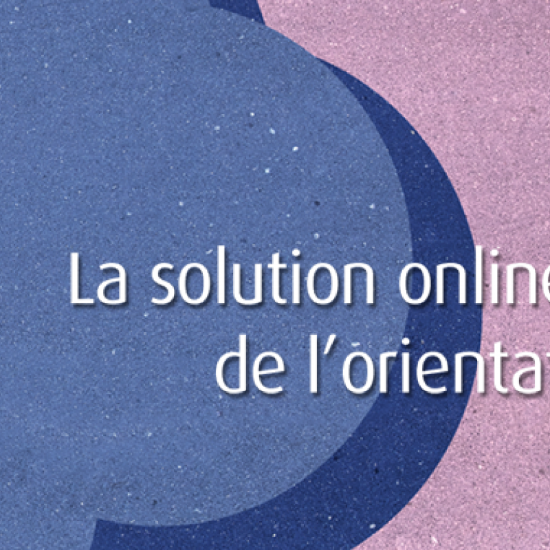 Nos offres web seul
